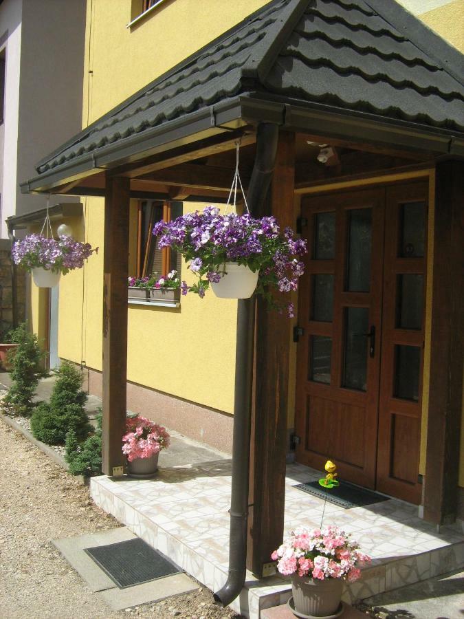 Guesthouse Mario Korenica Exterior foto